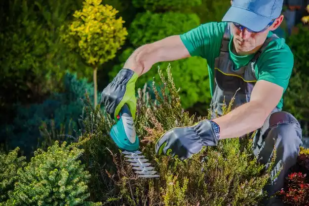 landscaping services Center Moriches